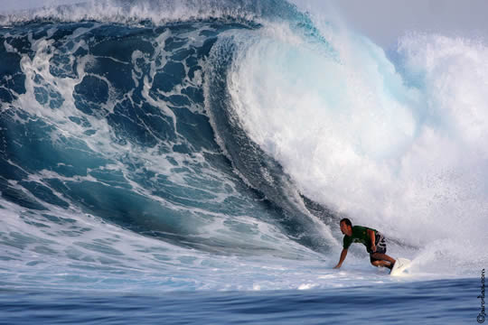 MALDIVAS SURF