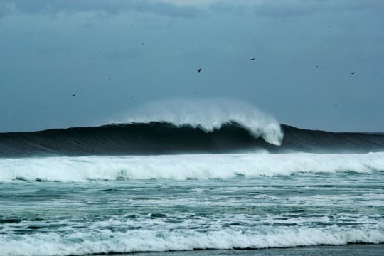 Surf XXL Galicia