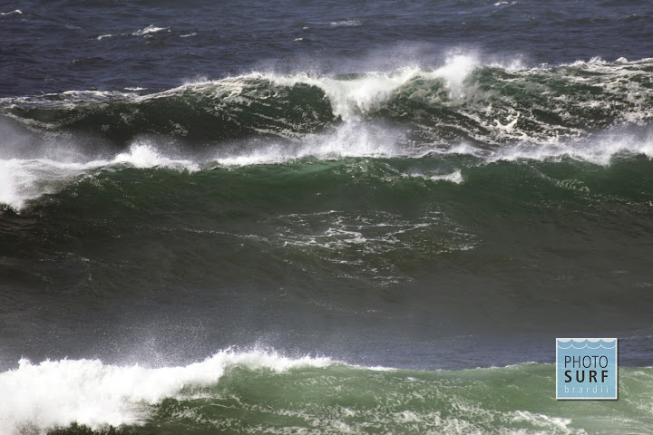 FONTENLA SURF